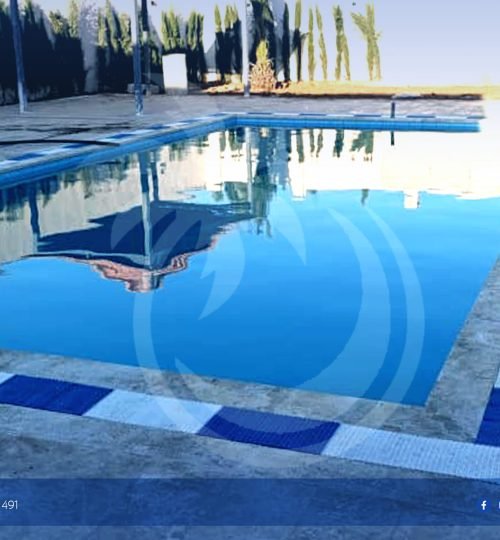 474756794_492887750498204_7614065229163739417_n